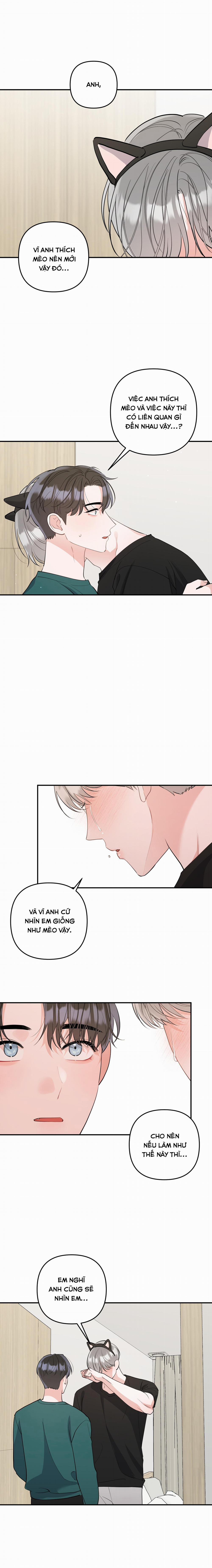 List Truyện Ngắn Chịt Chịt 72 MÈO 5 trang 12