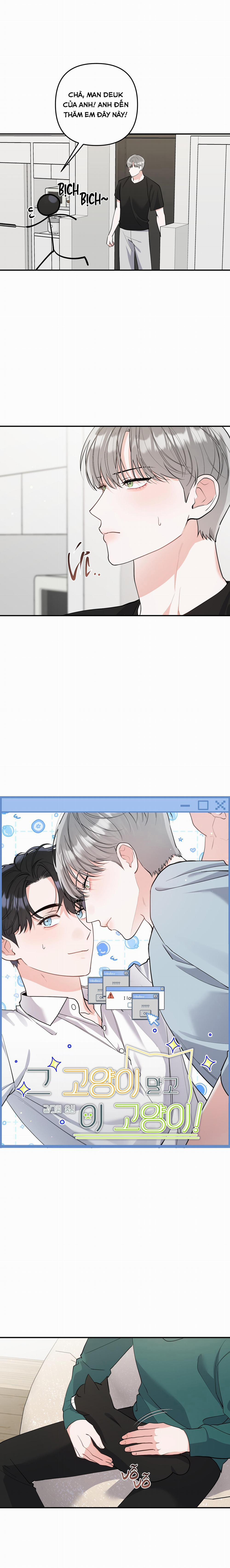 List Truyện Ngắn Chịt Chịt 72 MÈO 5 trang 2