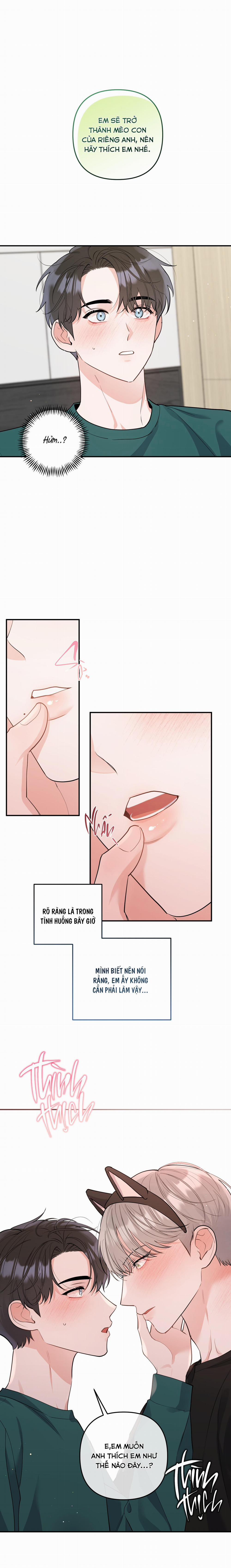 List Truyện Ngắn Chịt Chịt 73 MÈO 6 trang 0