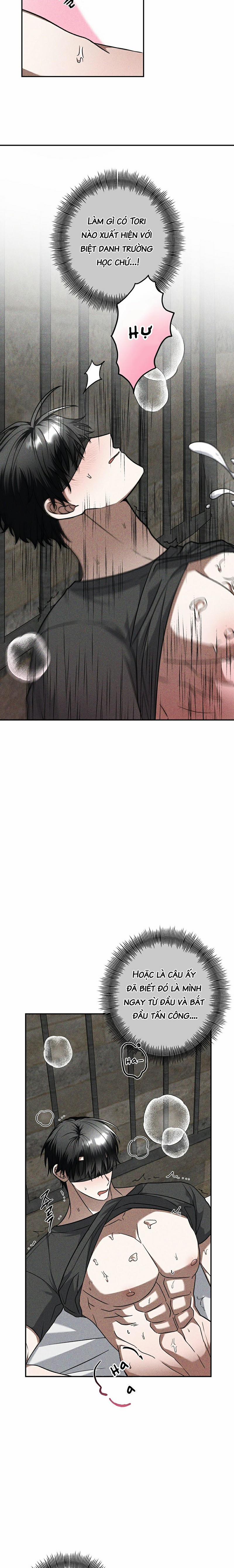 Live: Khách Mời 3 trang 3