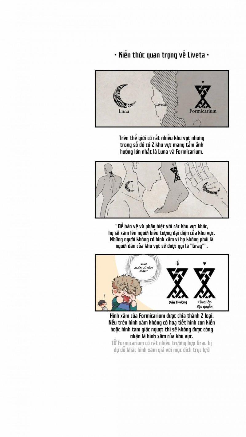 Liveta 9 trang 19