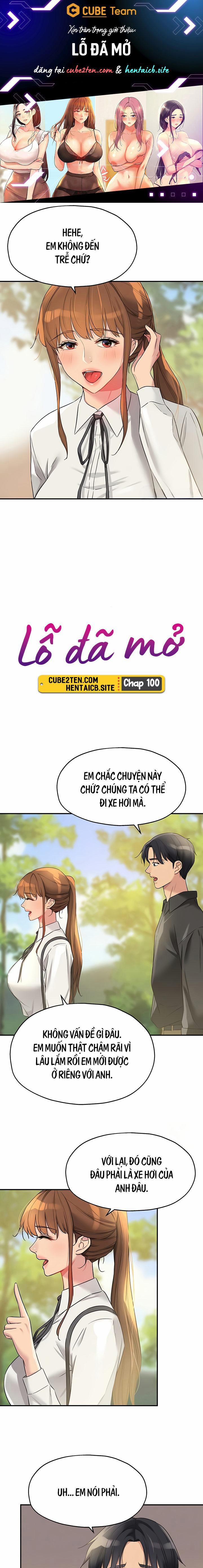 Lỗ đã mở 100 trang 1