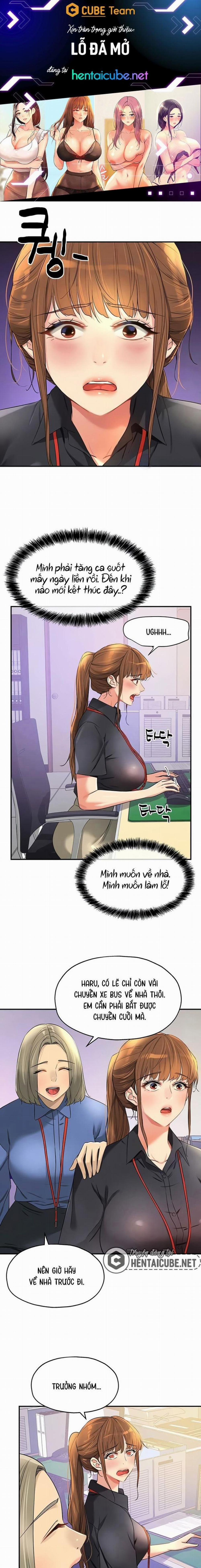 Lỗ đã mở 78 trang 0