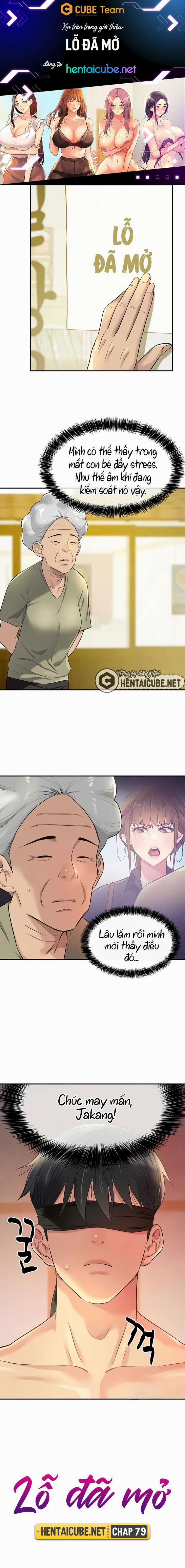 Lỗ đã mở 79 trang 0