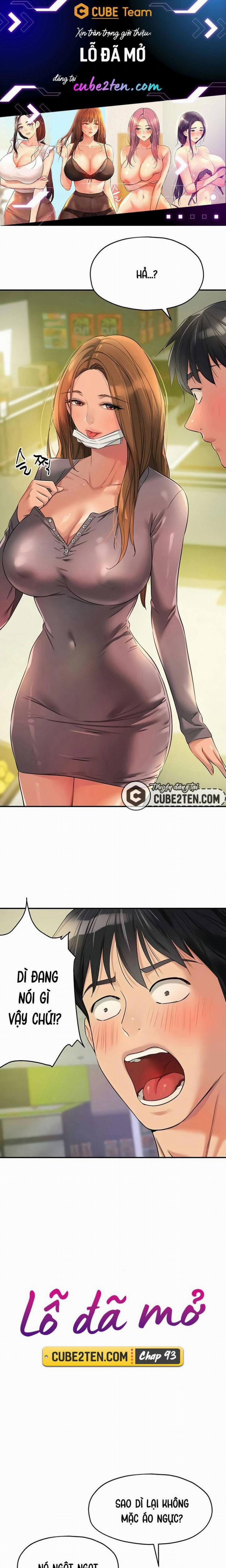 Lỗ đã mở 93 trang 0