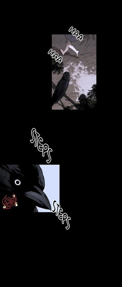 Loài Chim Không Bay 1 trang 2