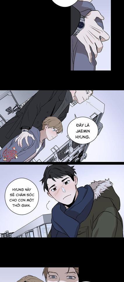 Loài Chim Không Bay 1 trang 27