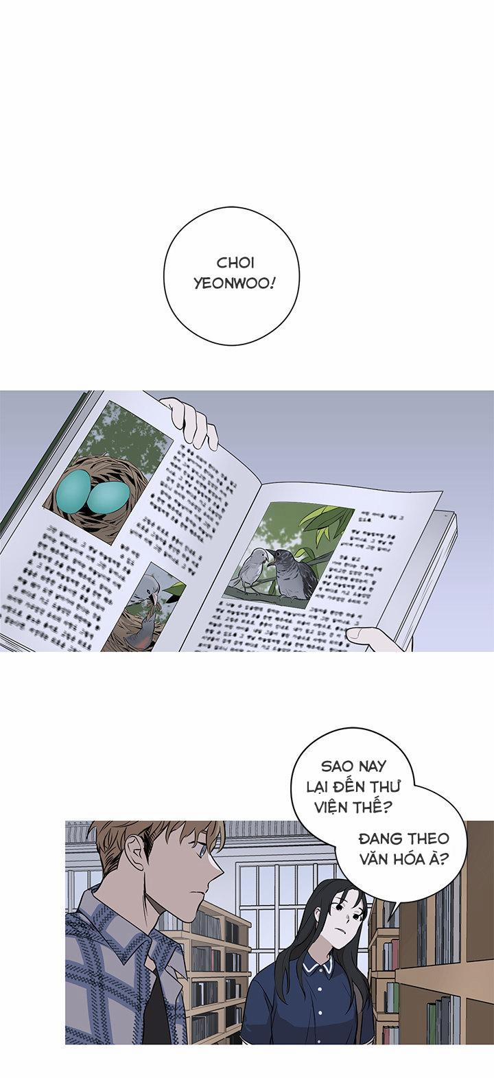 Loài Chim Không Bay 2 trang 0