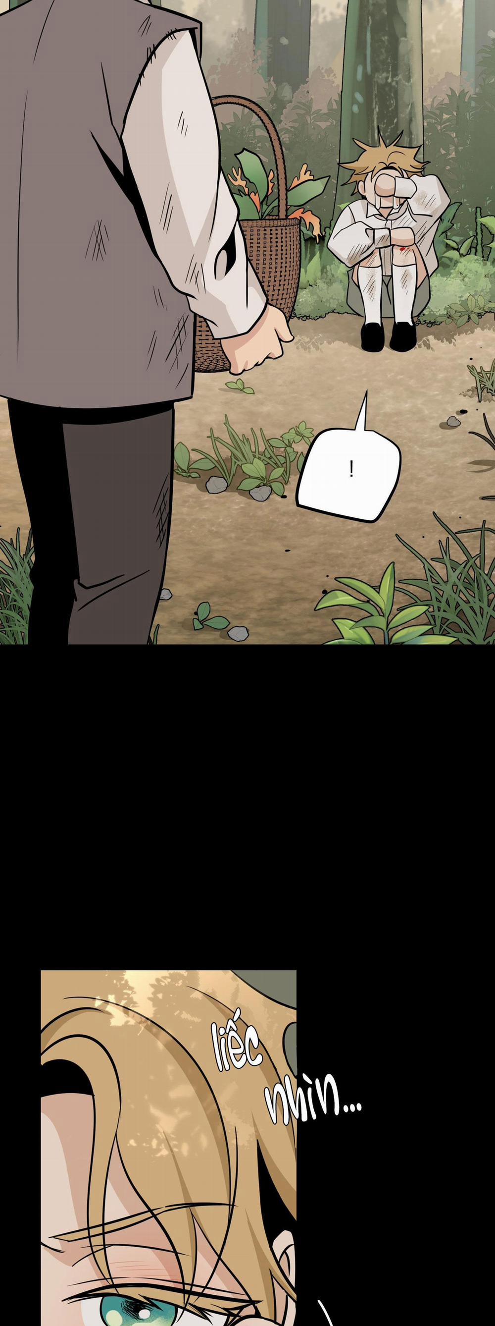 LOÀI HOA KHÔNG TÊN 1 BỊ GÀI trang 40