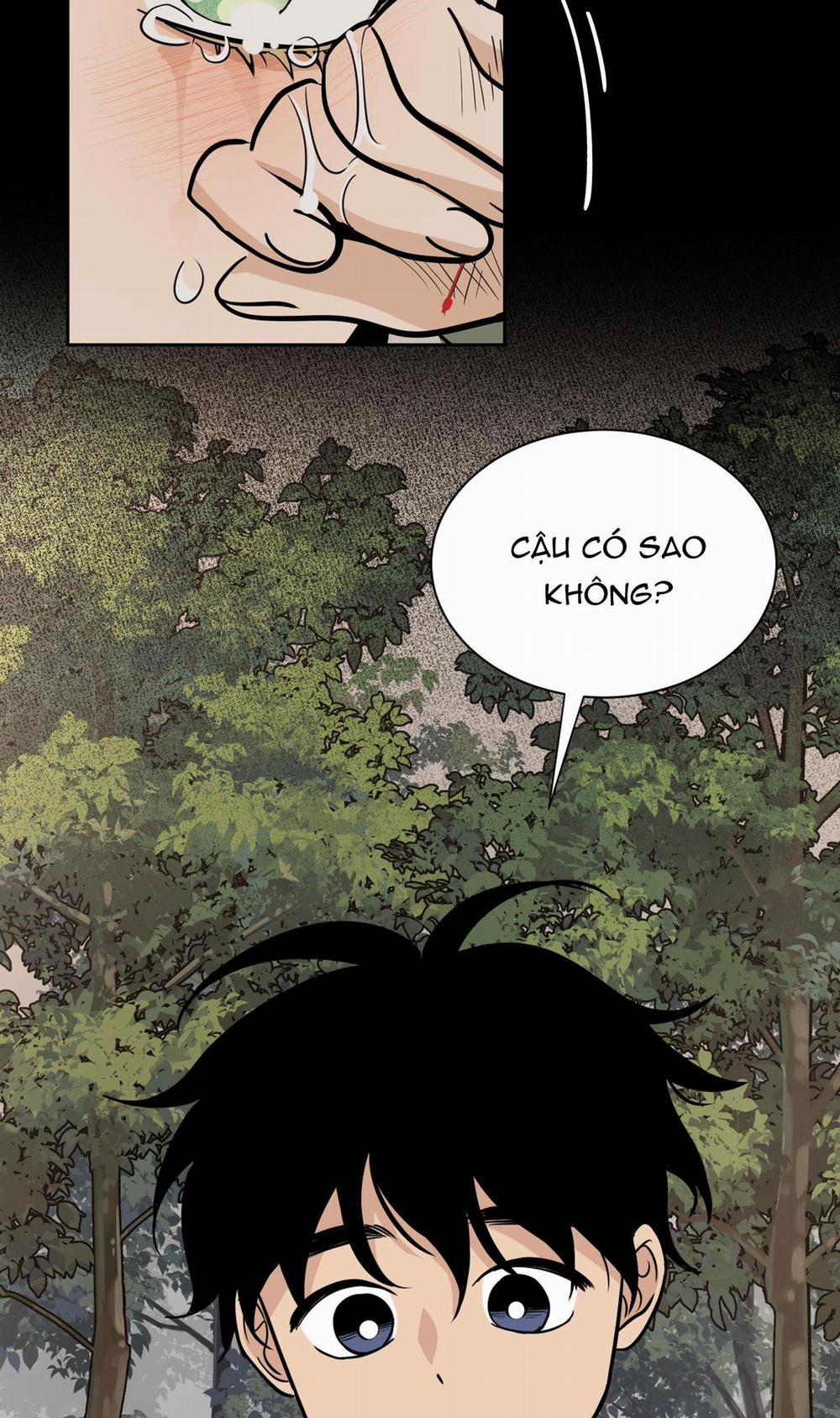 LOÀI HOA KHÔNG TÊN 1 BỊ GÀI trang 41