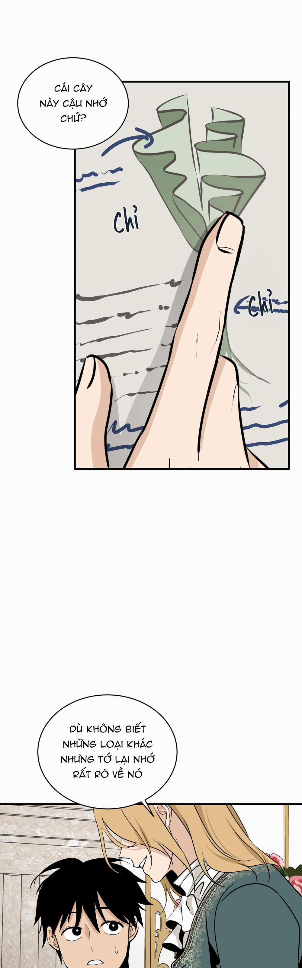 LOÀI HOA KHÔNG TÊN 11 trang 35