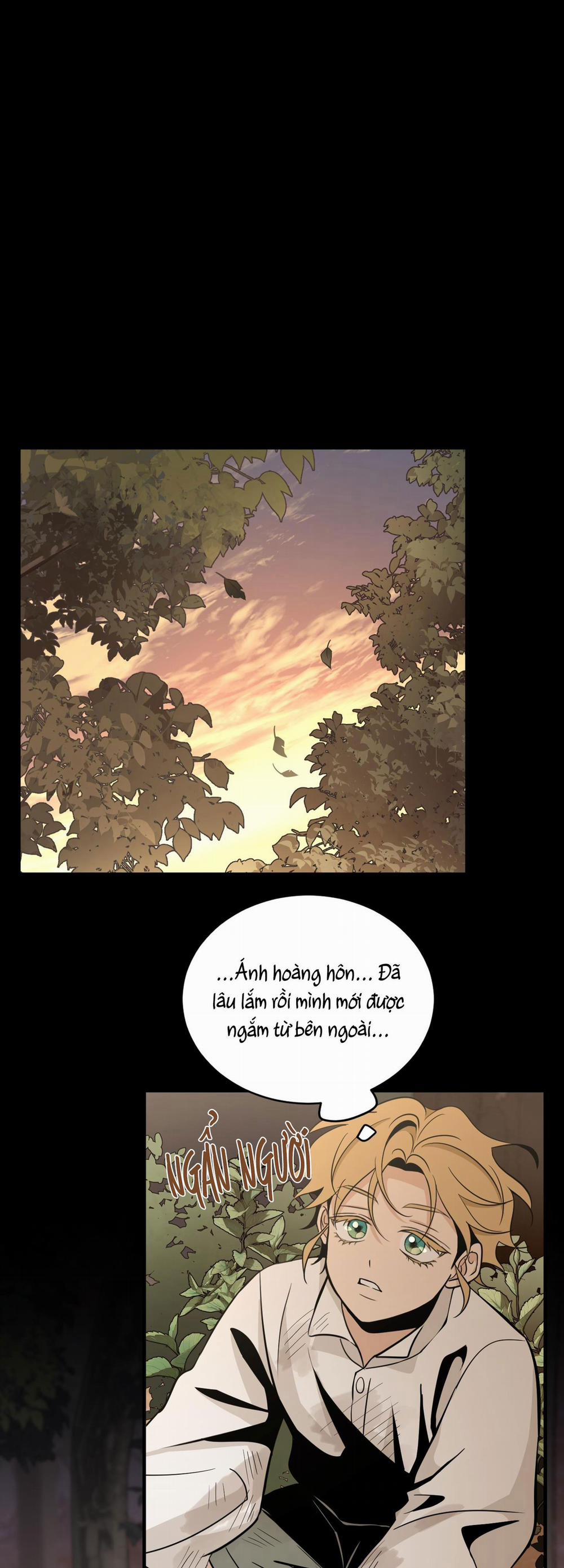 LOÀI HOA KHÔNG TÊN 2 trang 11