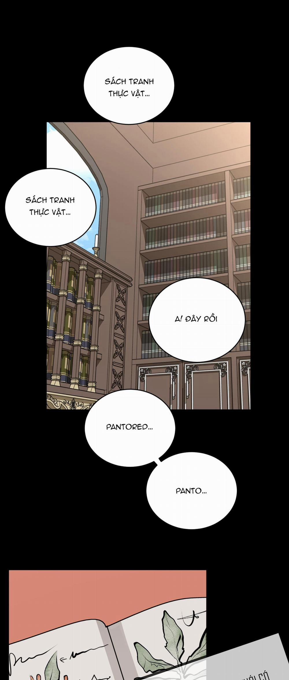 LOÀI HOA KHÔNG TÊN 2 trang 35