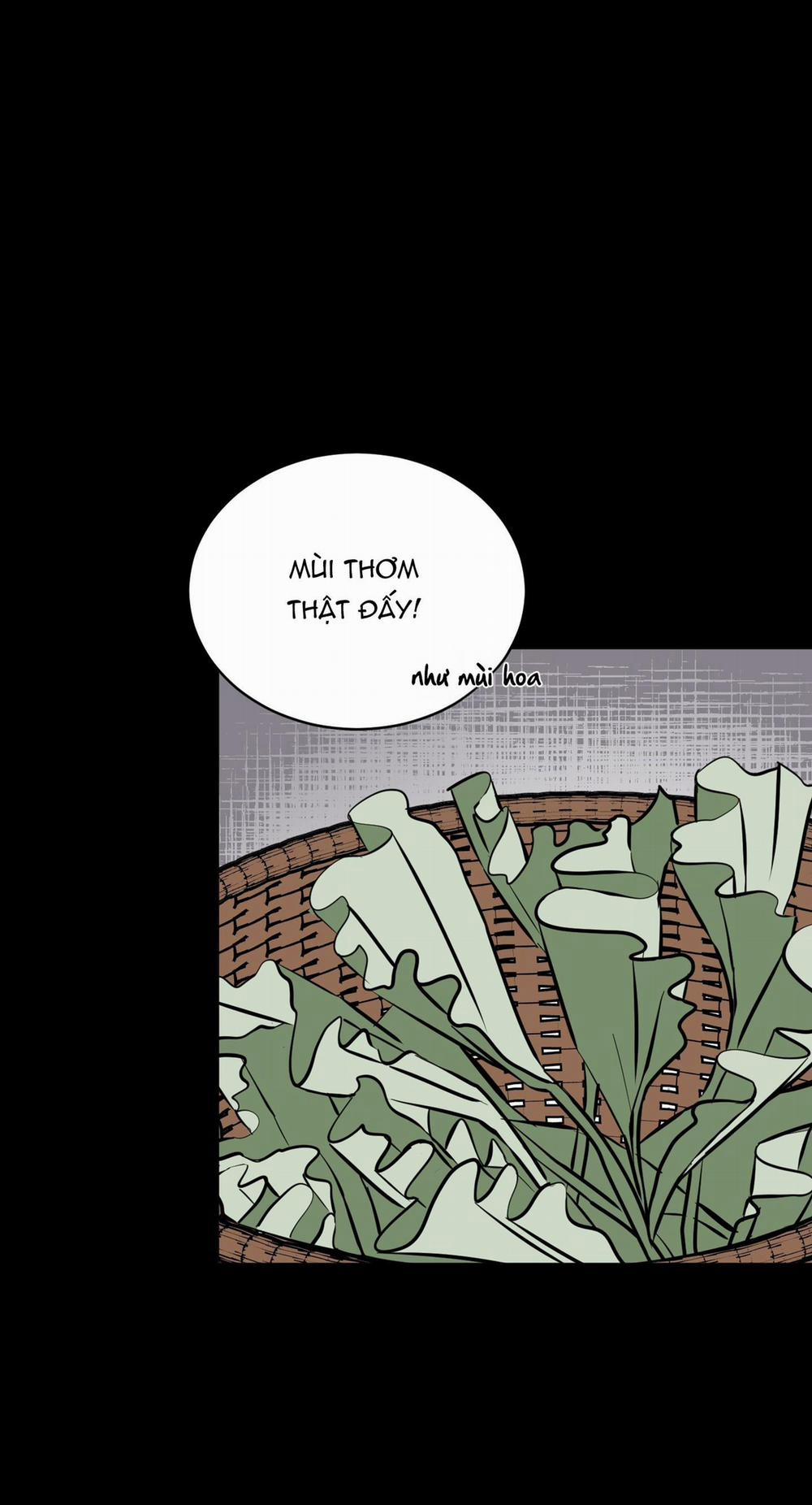 LOÀI HOA KHÔNG TÊN 4 trang 34