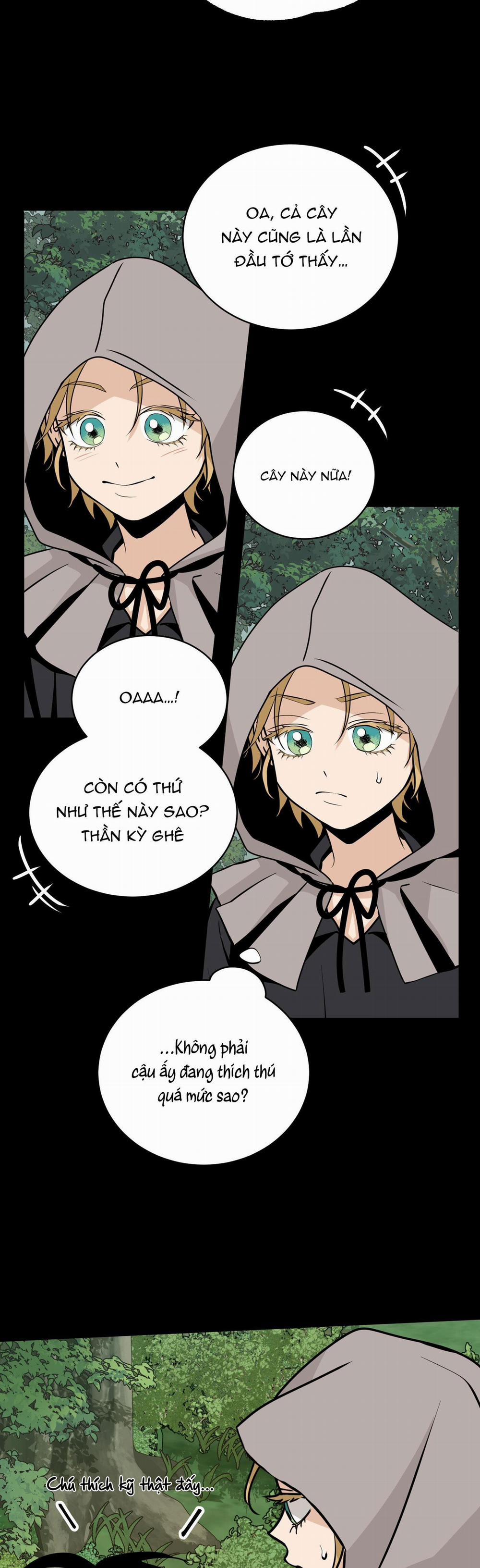 LOÀI HOA KHÔNG TÊN 4 trang 8