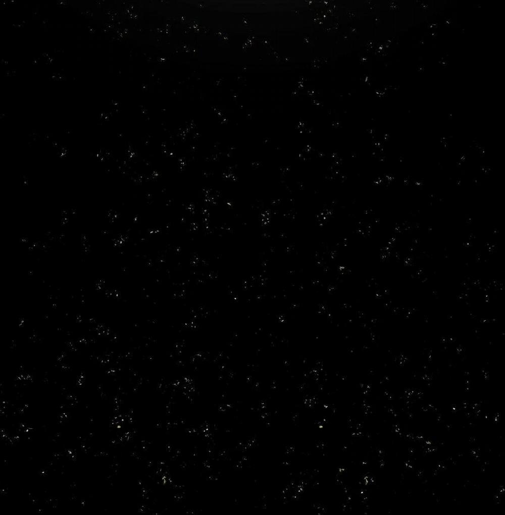 Loạn Thế Vi Vương 17 trang 115