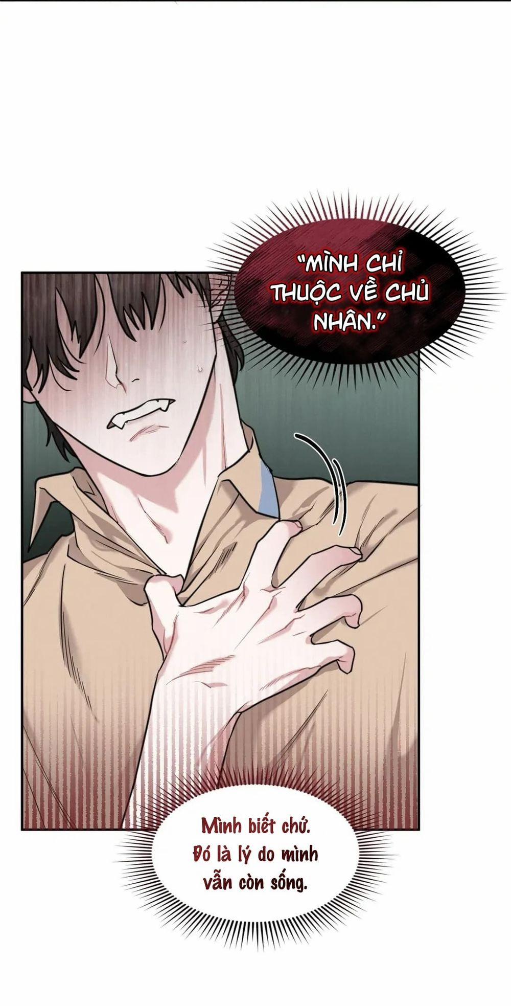 Lời Gian Dối Đẫm Máu 14 trang 44