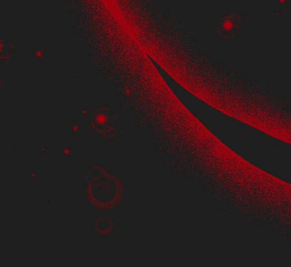 Lời Mời Gọi Của Hậu Cung 23.2 trang 27