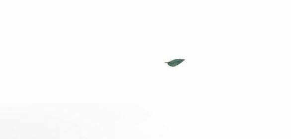 Lời Mời Gọi Của Hậu Cung 23.2 trang 39