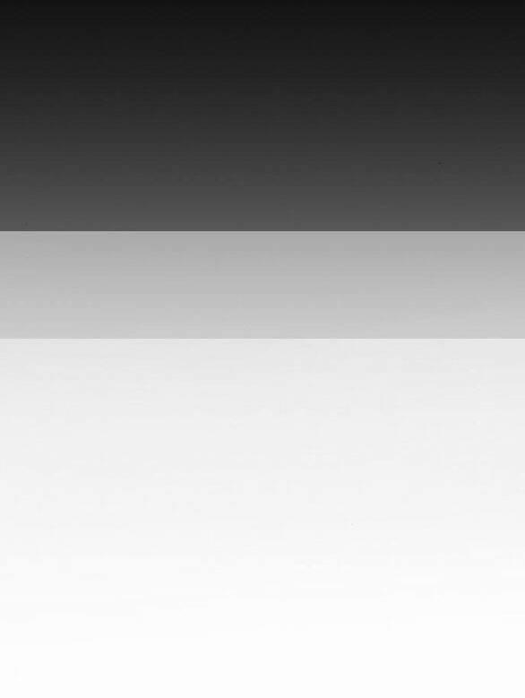 Lời Mời Gọi Của Hậu Cung 24.2 trang 17