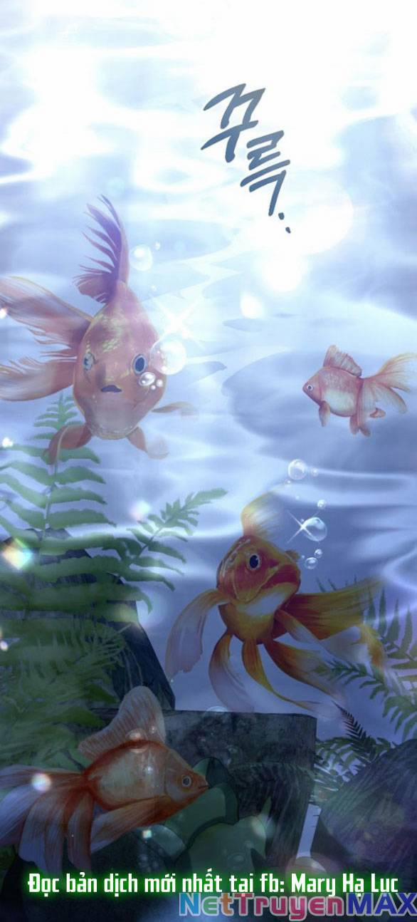 Lời Mời Gọi Của Hậu Cung 29.1 trang 2