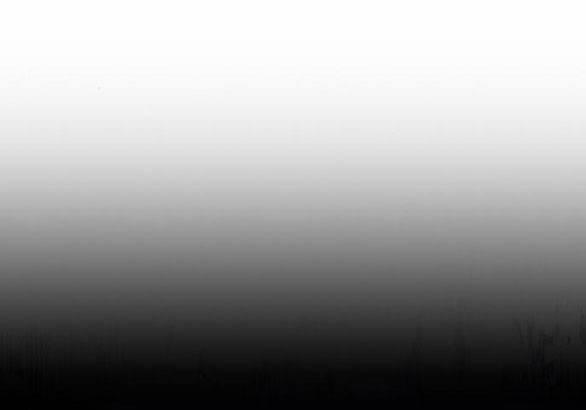 Lời Mời Gọi Của Hậu Cung 30.1 trang 54