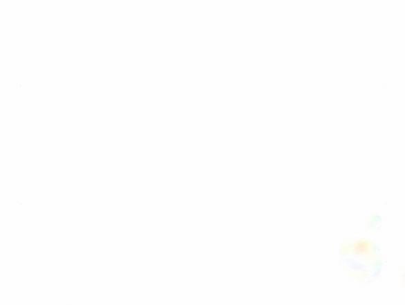 Lời Mời Gọi Của Hậu Cung 34.1 trang 48