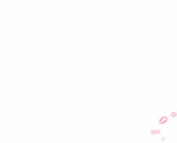 Lời Mời Gọi Của Hậu Cung 35.2 trang 38