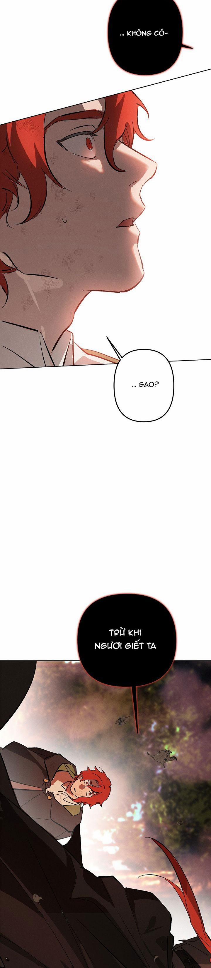 LỜI NGUYỀN MÀU ĐỎ CỦA HIỆP SĨ 1 trang 21