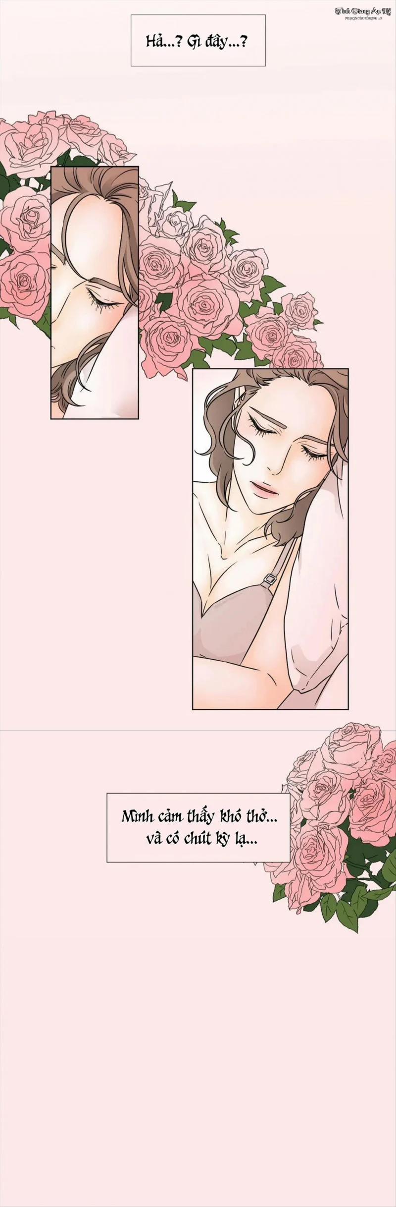 Lời Nguyền Thể Xác 19 trang 13