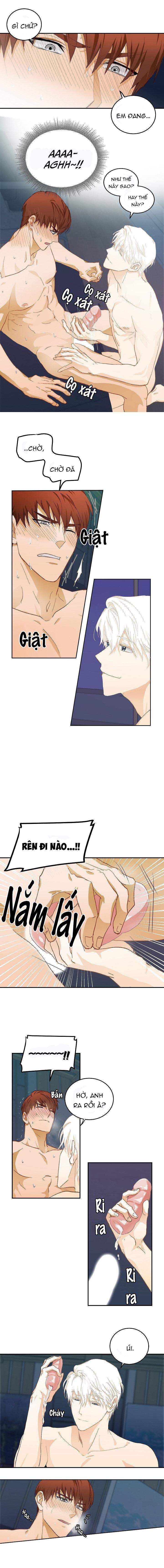 Lời Nói Dối Hoàn Hảo 8 trang 1