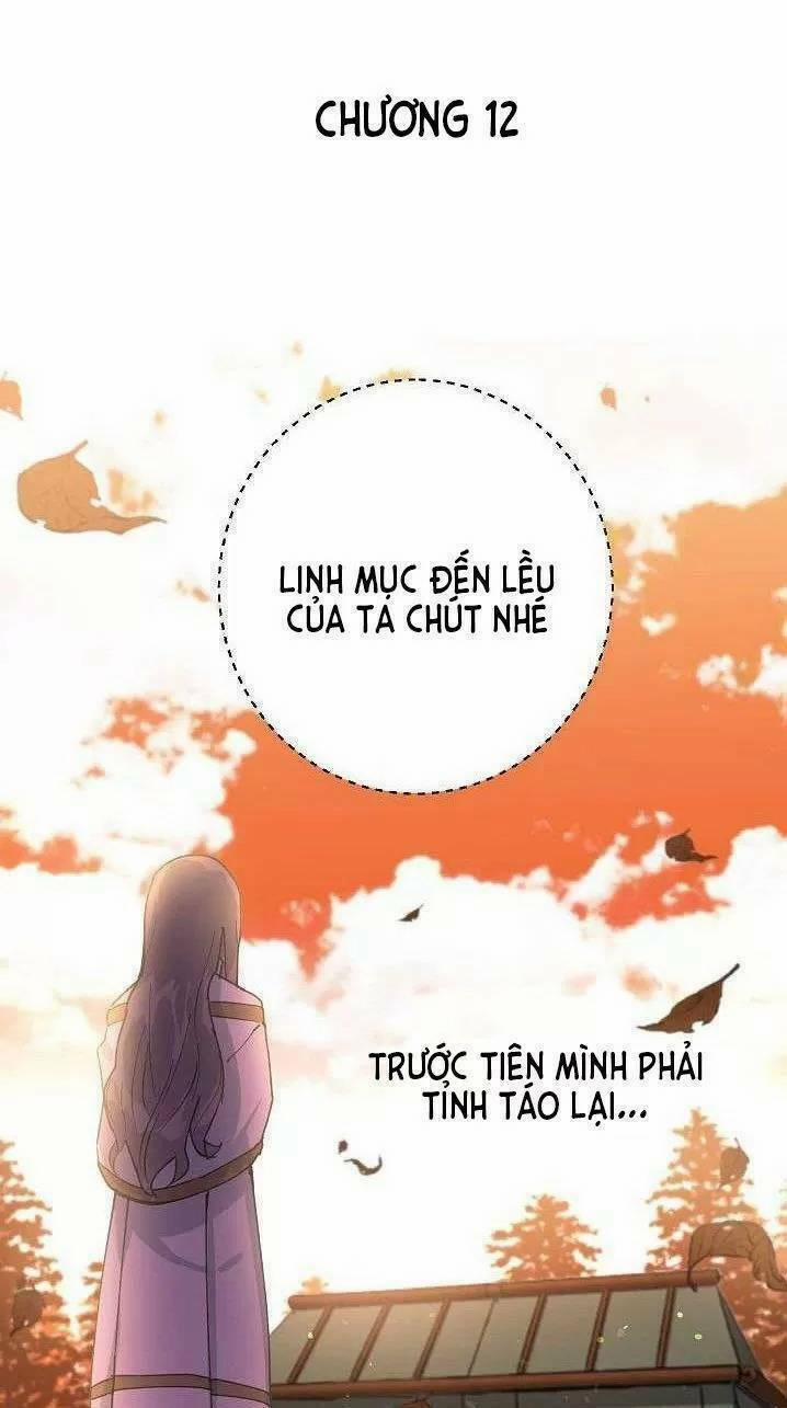 Lời Thú Nhận Nhầm Lẫn 12 trang 0