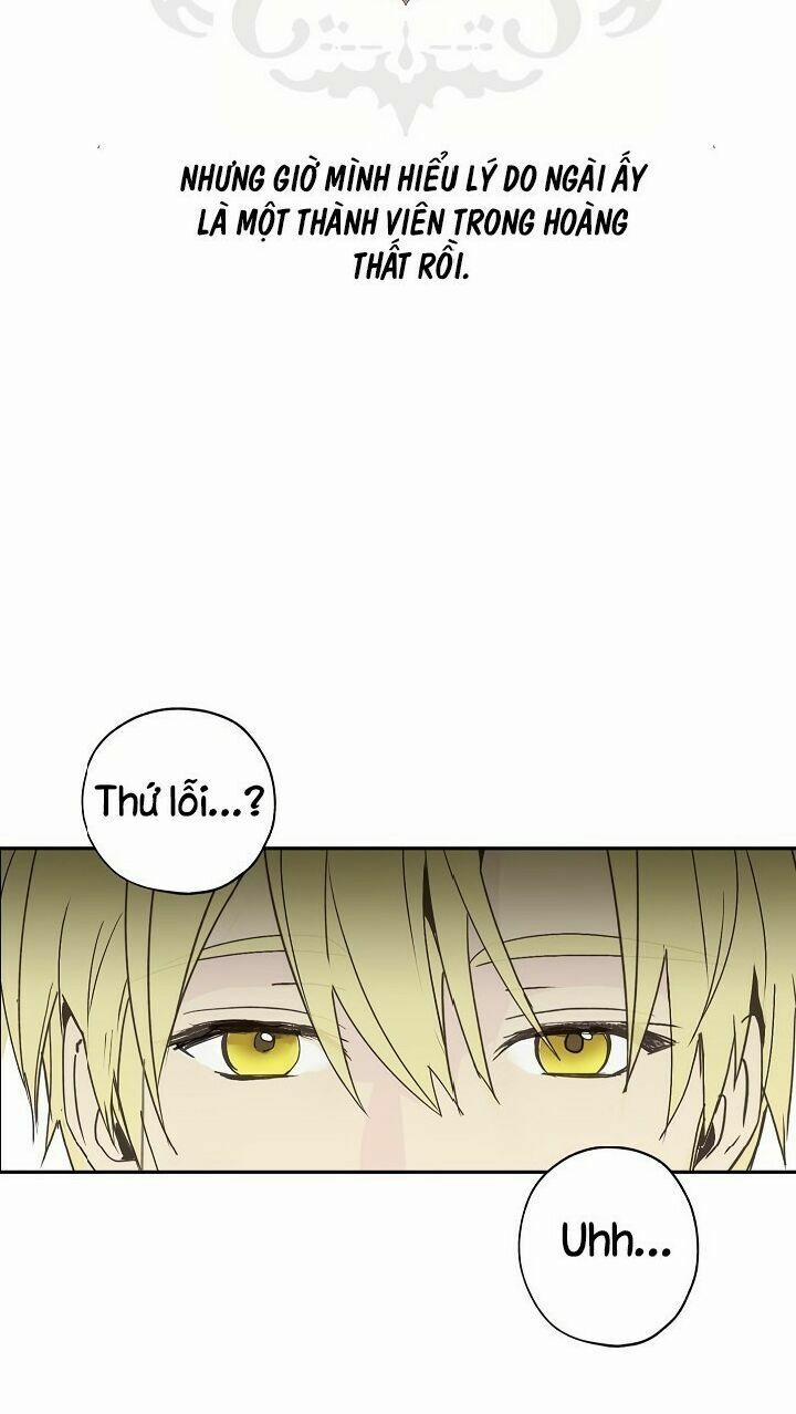 Lời Thú Nhận Nhầm Lẫn 28 trang 43