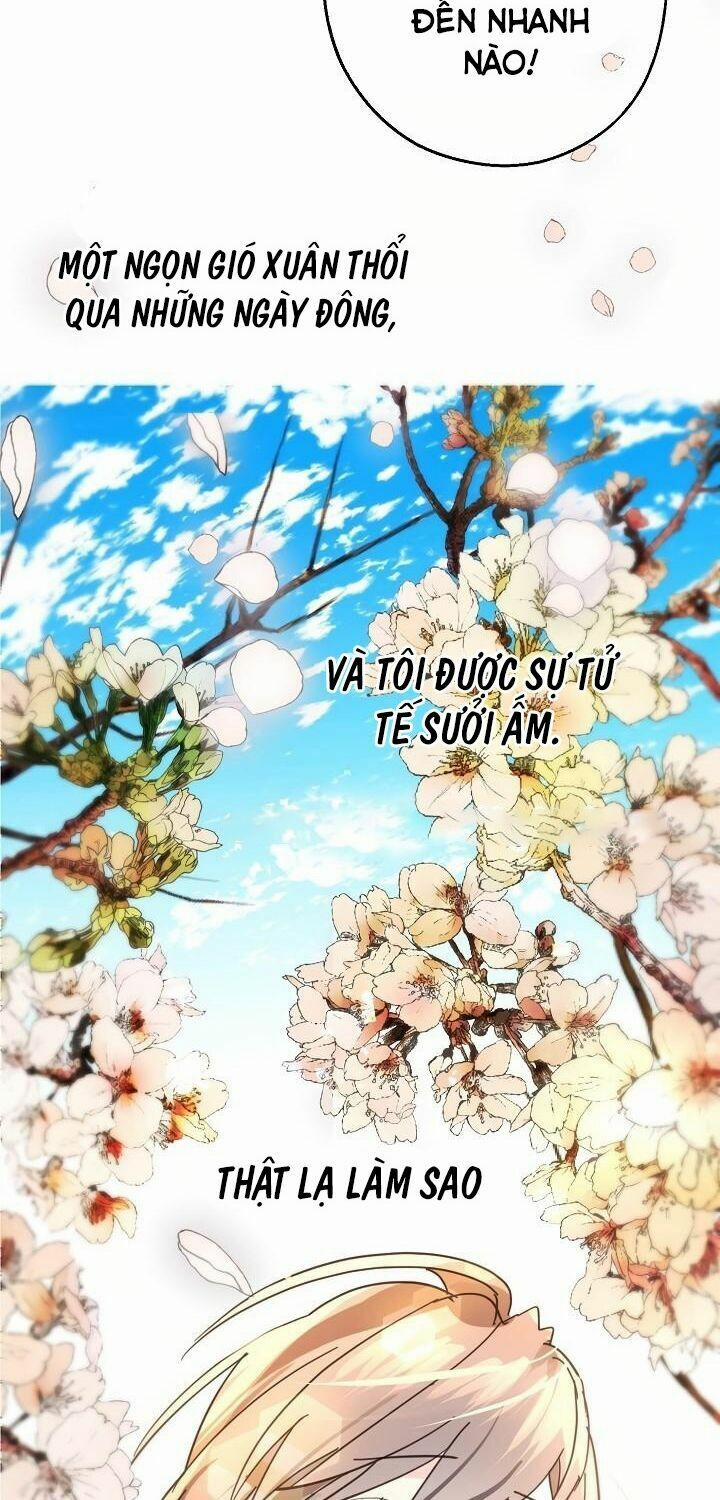 Lời Thú Nhận Nhầm Lẫn 36 trang 60