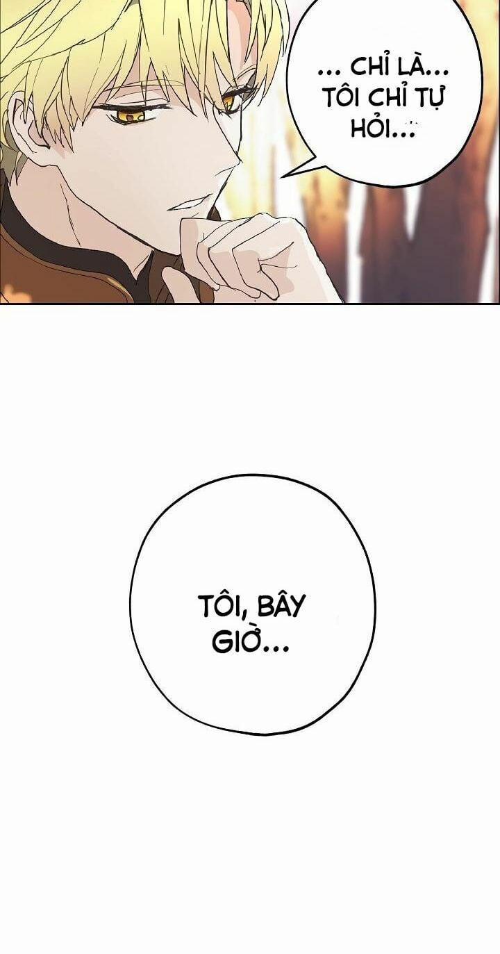 Lời Thú Nhận Nhầm Lẫn 36 trang 8