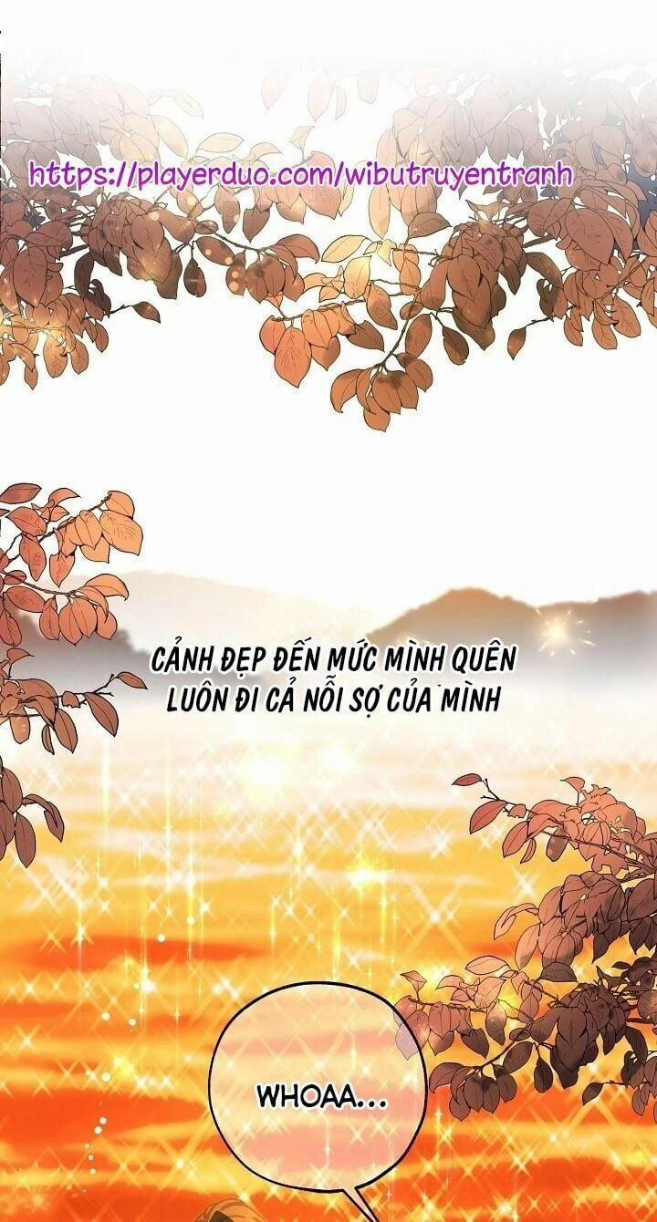 Lời Thú Nhận Nhầm Lẫn 41 trang 0