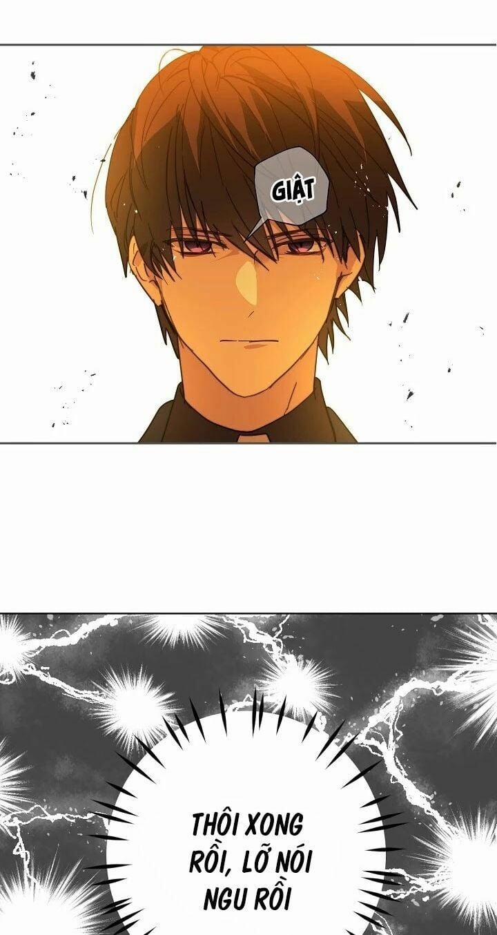 Lời Thú Nhận Nhầm Lẫn 41 trang 15