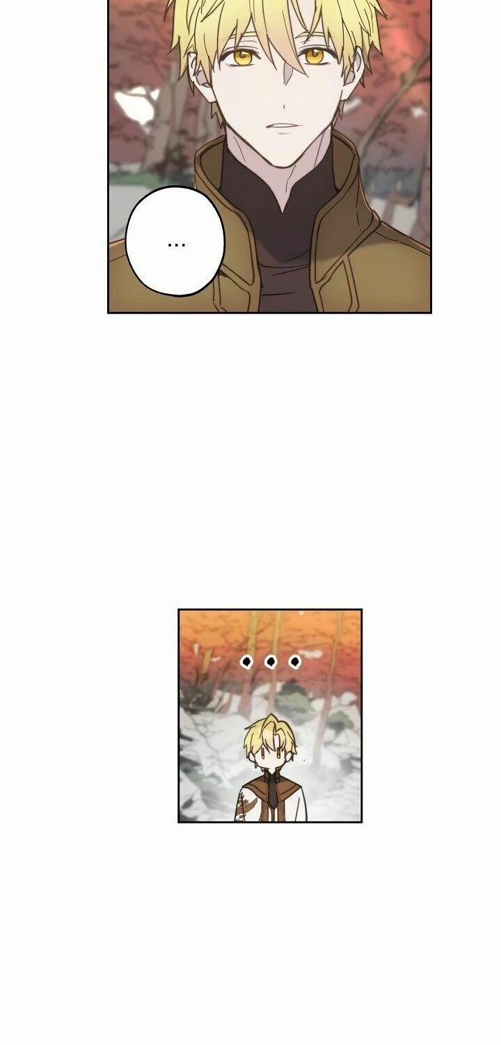 Lời Thú Nhận Nhầm Lẫn 42 trang 1