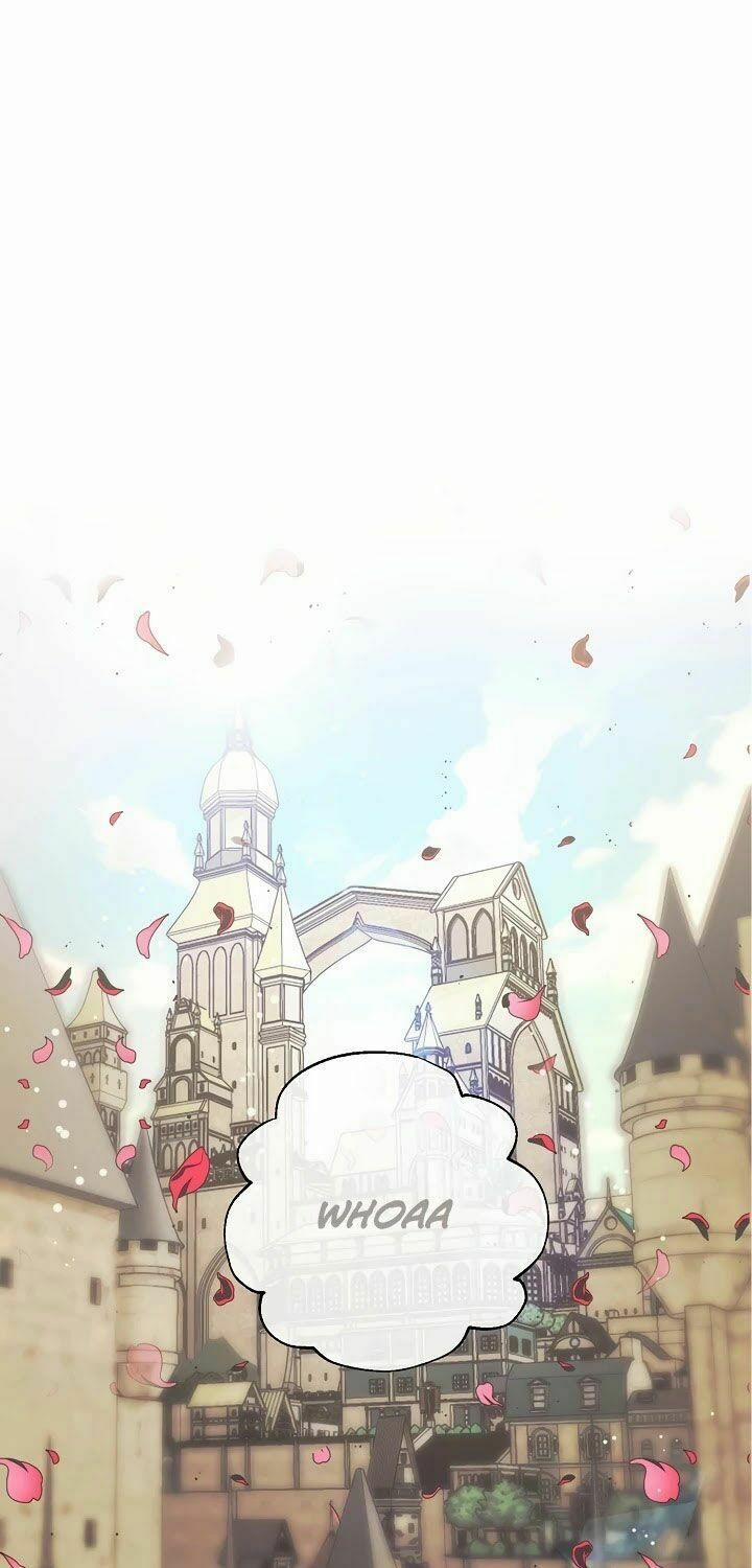 Lời Thú Nhận Nhầm Lẫn 44 trang 0