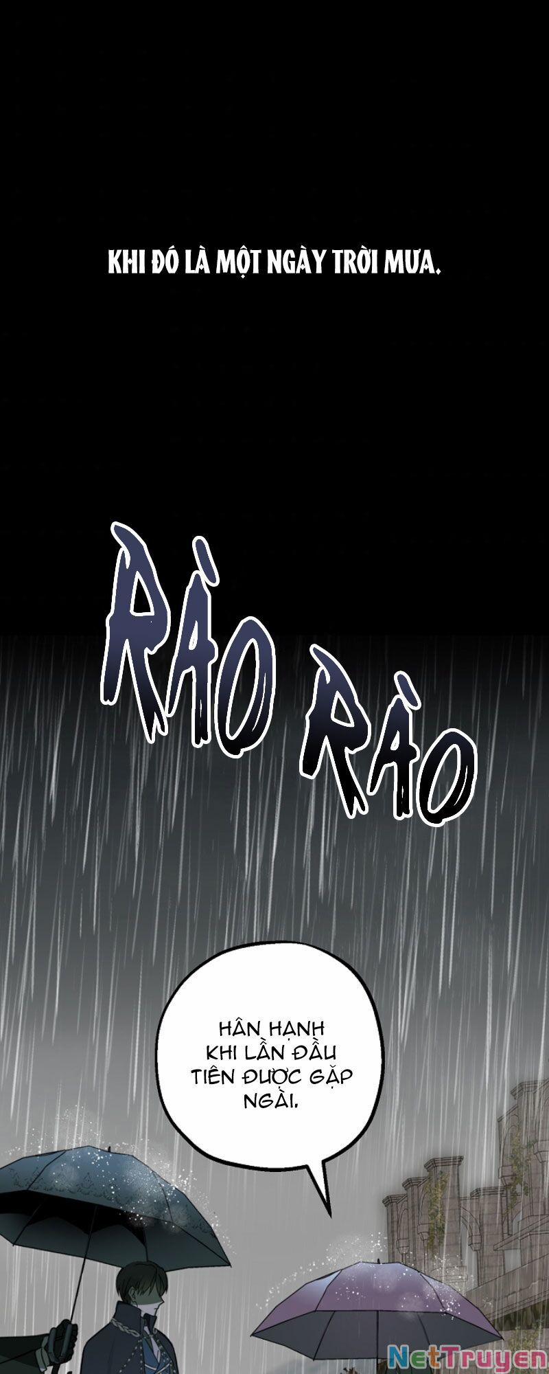 Lời Thú Nhận Nhầm Lẫn 50 trang 0