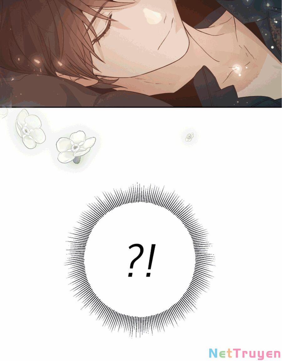 Lời Thú Nhận Nhầm Lẫn 51 trang 25