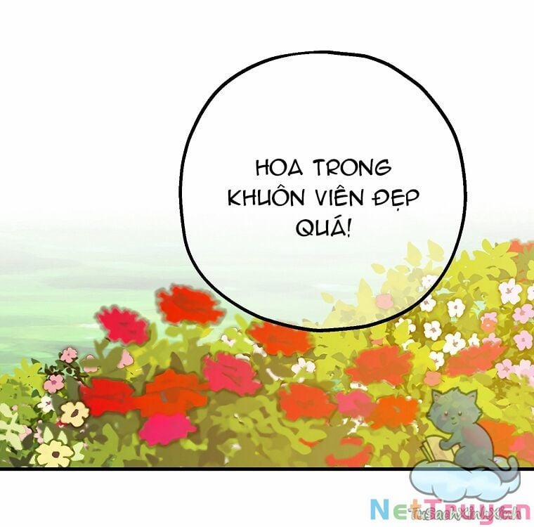 Lời Thú Nhận Nhầm Lẫn 52 trang 52