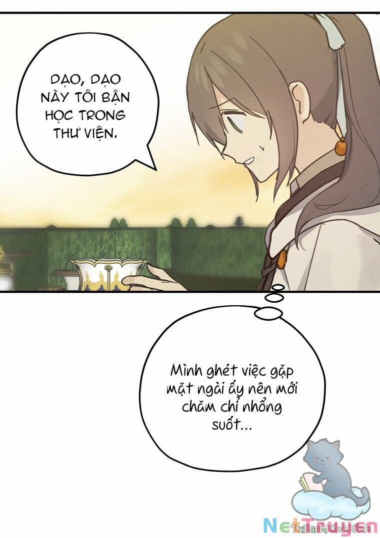 Lời Thú Nhận Nhầm Lẫn 53 trang 13