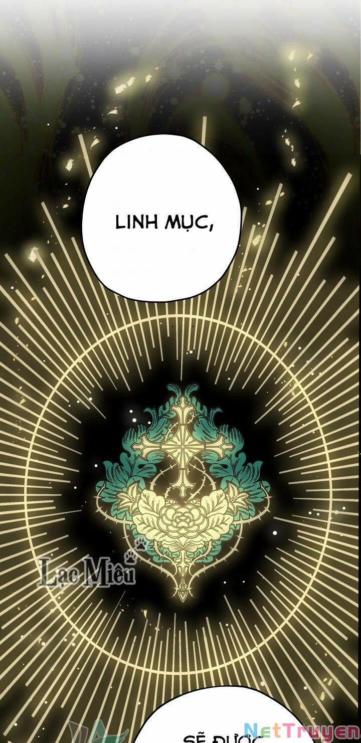 Lời Thú Nhận Nhầm Lẫn 60 trang 0