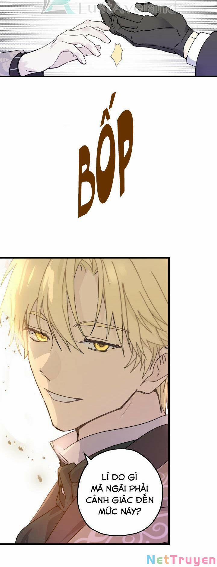 Lời Thú Nhận Nhầm Lẫn 60 trang 19