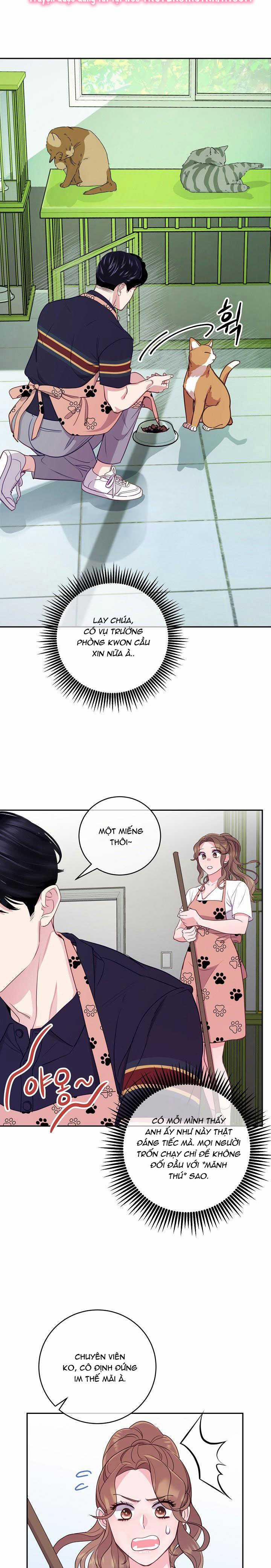 Lời Thú Tội Bí Ẩn 28 trang 8