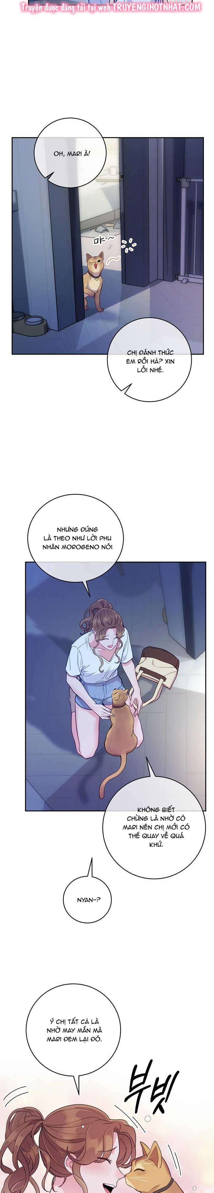 Lời Thú Tội Bí Ẩn 35 trang 11