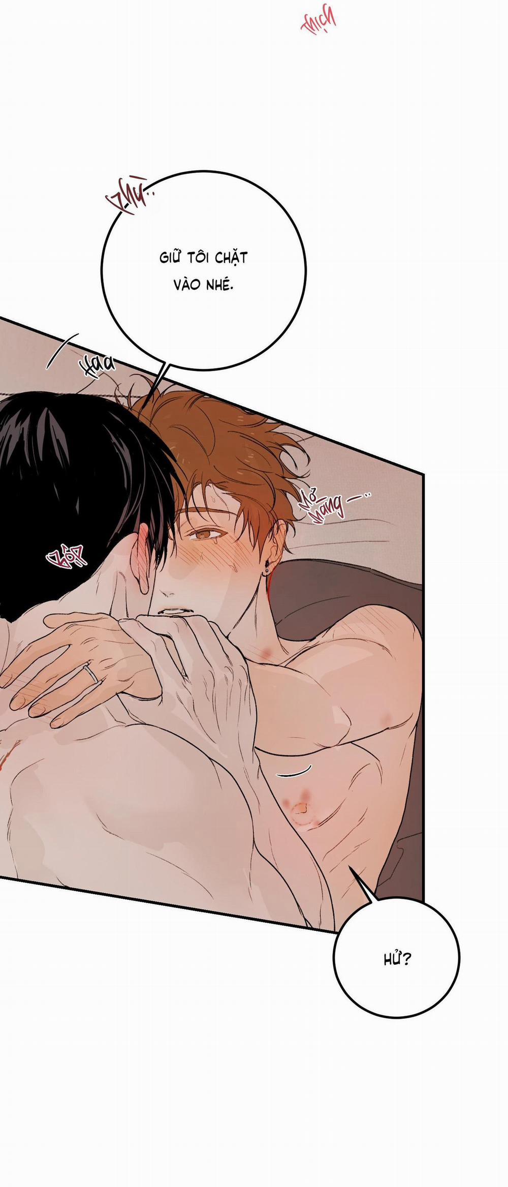 Lời Tỏ Tình Chân Thành Nhất 8 END trang 48