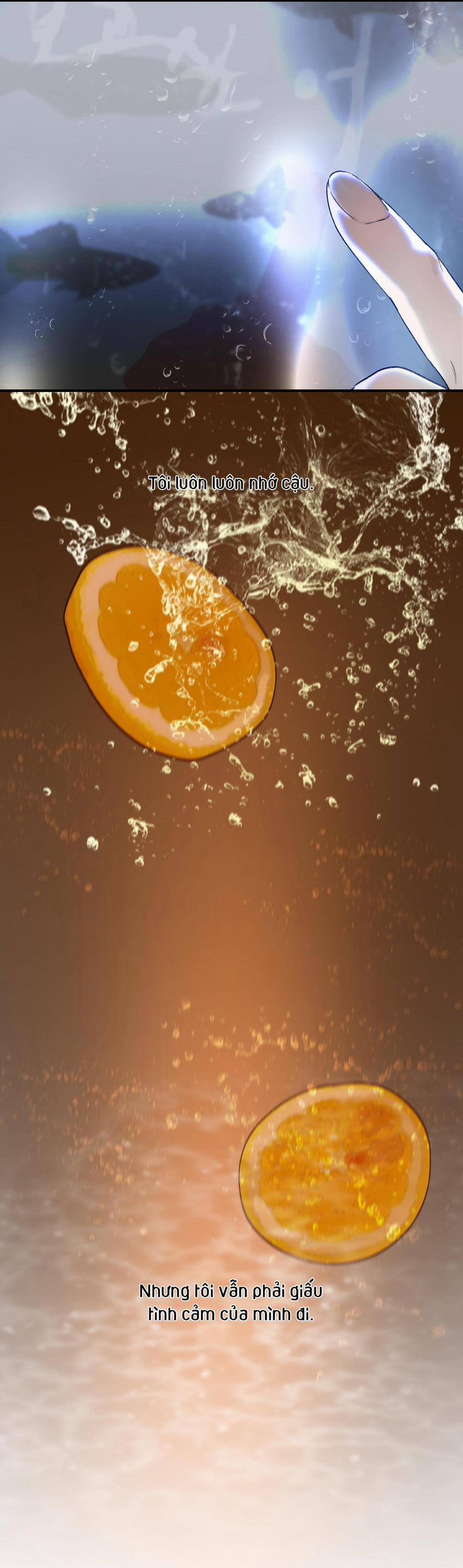 Lời Tỏ Tình Chân Thành Nhất 8 END trang 72