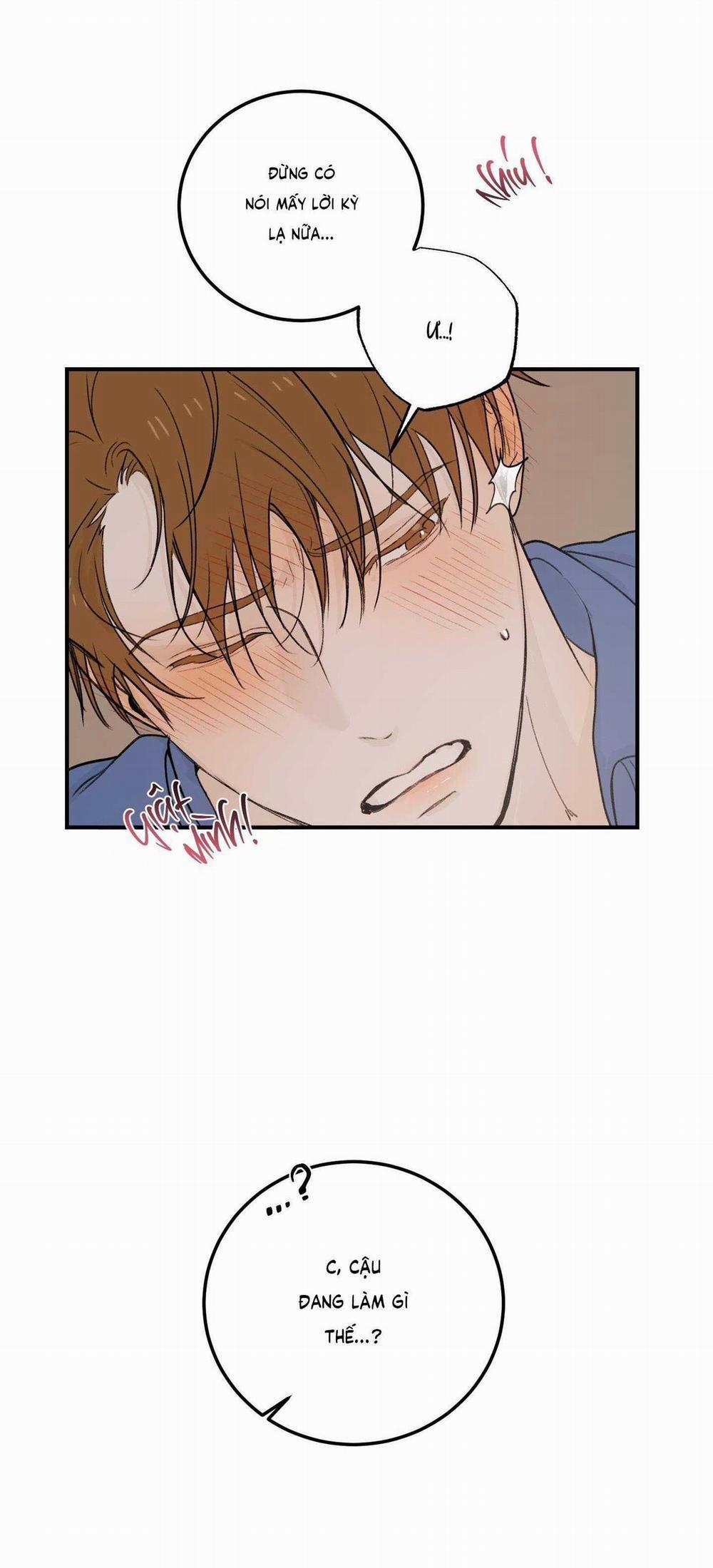 Lời Tỏ Tình Chân Thành Nhất 8 trang 29